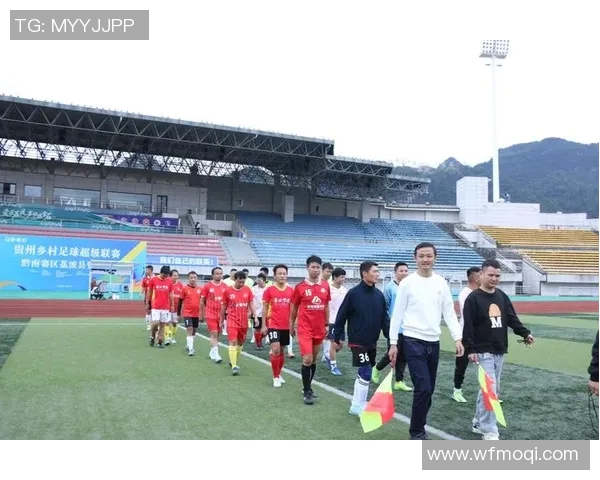 贵州引进足球明星阵容揭秘吸引力与发展潜力并存